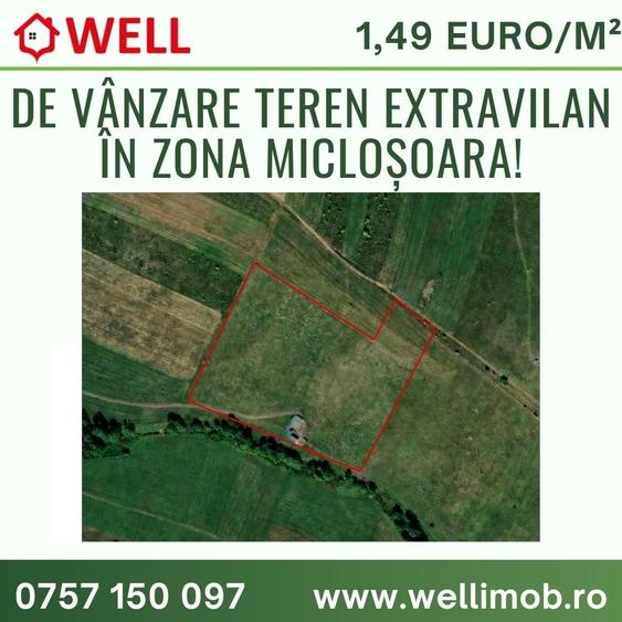 Teren agricol extravilan de 30000 mp, în Micloșoara
