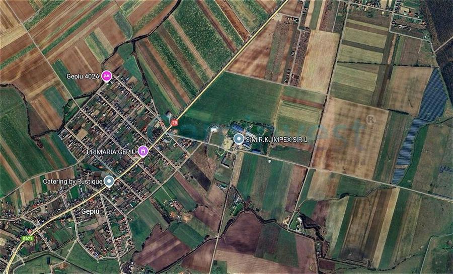 Teren Construcții intravilan de 10000 mp, în Gepiu