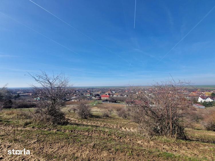 Teren extravilan, zona si priveliste superba, Cuvin - 5