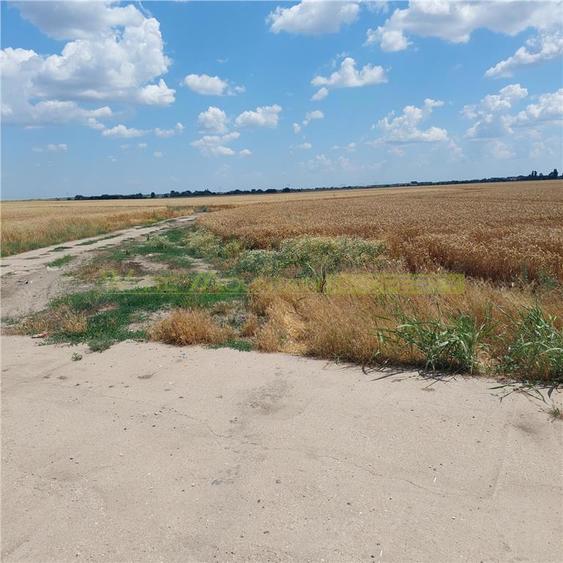 Teren 88000 mp de vanzare, Glina - 8