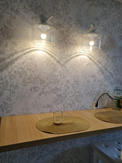 APARTAMENT CU VEDERE LA LAC SI TERASA 60+60MP+loc parcare inclus - 4