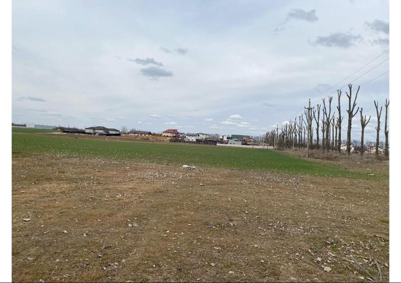 Teren intravilan 665 mp  (550m2 utili) – la șosea principală - 6