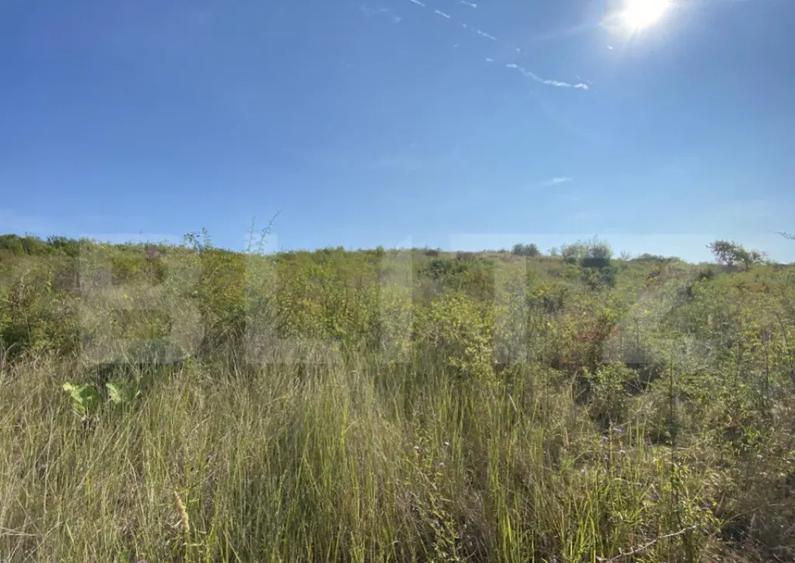 Teren intravilan/extravilan centura Zalau, 8200 mp - 4