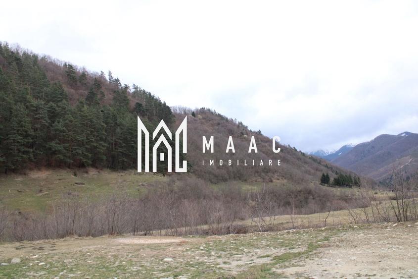 Pământ I Fereastră către Eternitate în  Transilvania - 4