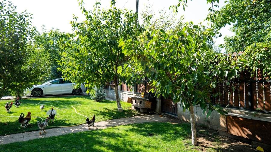 Oferta - Vila cu 4 camere, langa Bucuresti, Postavari - Calarasi - 12