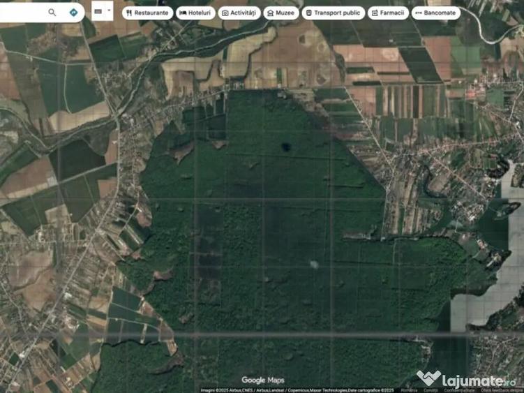 `Teren cu dubla deschidere, langa padure, Snagov - Strada Pa - 2