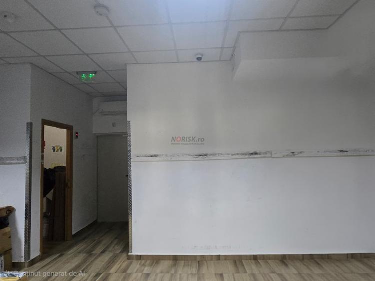 Spatiu cu vitrina generoasa, stradal cu dublu acces - Salajan - 8