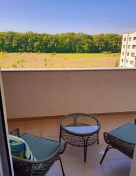 Apartament 2 camere mobilat Greenfield - 7