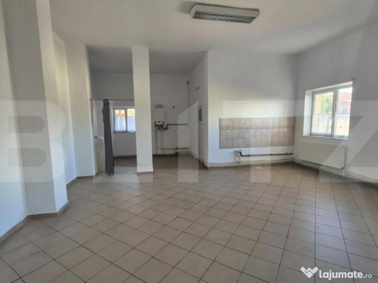 Spatii comerciale de inchiriat, 773 mp, zona Lucian Blaga - 9