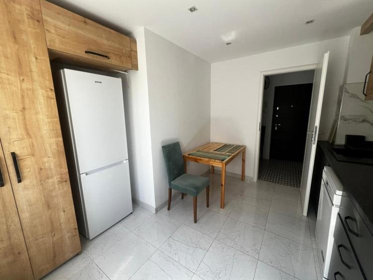 Apartament Victoriei -  Banu Manta - 6