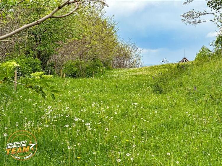 FILM! Teren intravilan, 6.500 mp, Papauti, Covasna - 2