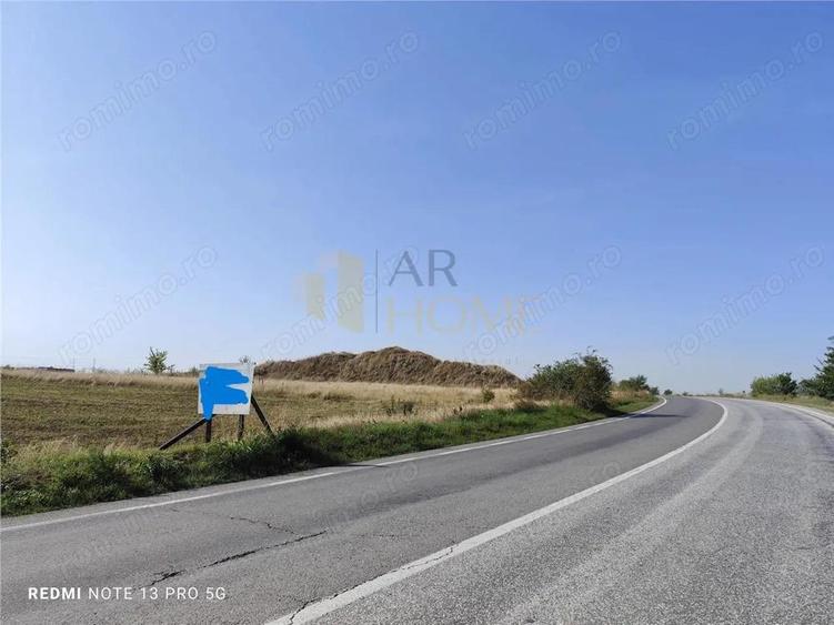 2500 mp Dn1 A Cocorastii Colt - 1