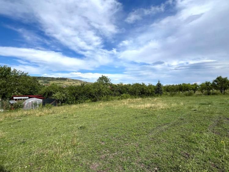 Teren Autorizabil Constructii, 1055 mp. Centru Chinteni 21 Decembrie - 5