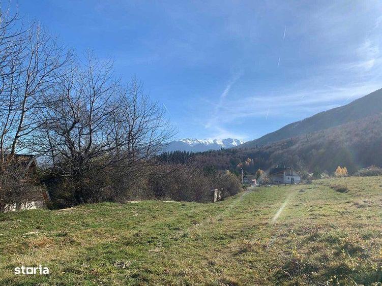 Teren Tohanita - Brasov - 4