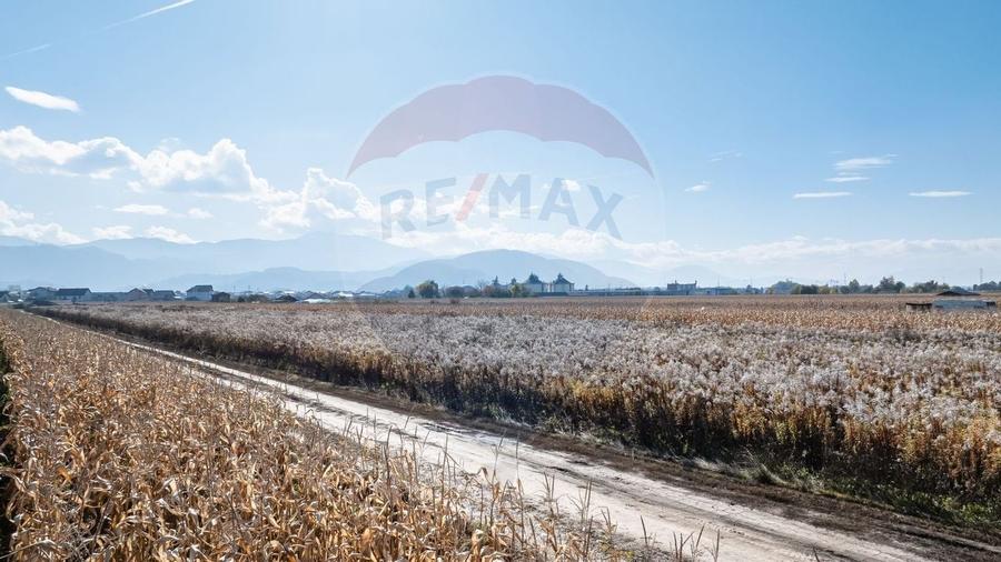 Teren Brasov -Strada Aron Pumnul, 520-1040 mp, 2 loturi - 4