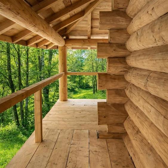 3.000mp de incantare montana cu cabana din lemn masiv, Zarnesti Tohanita - 1