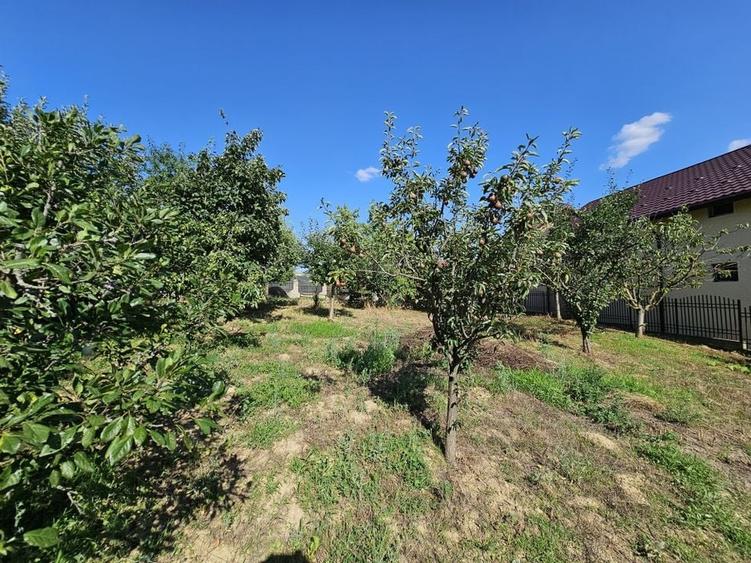 Vila superba de vanzare in Vintila Voda, Buzau D+P+1 si anexe - 48