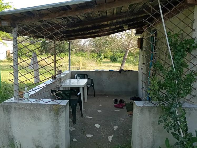 Vand casa cu 2500 mp teren - 2