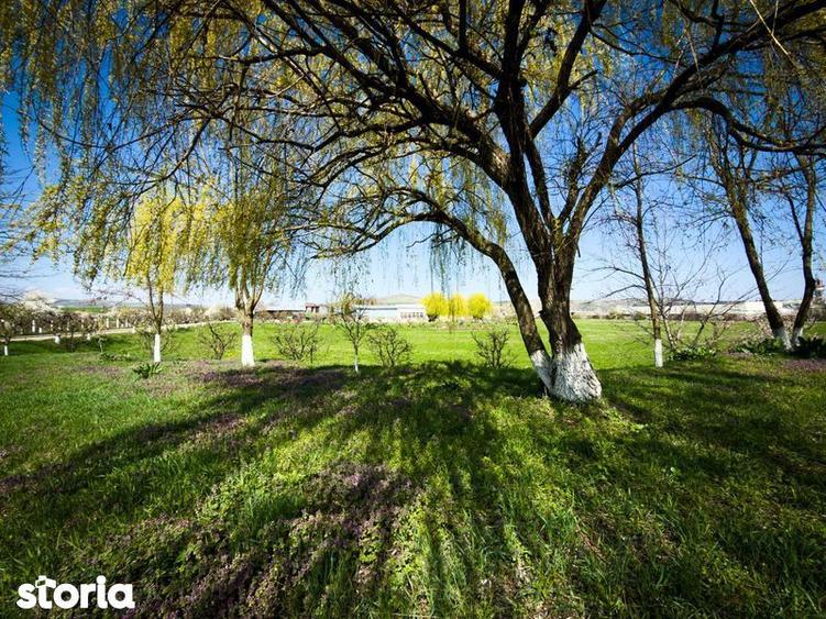 SE VINDE SAU SE INCHIRIAZA teren cu constructii Ludus - 2