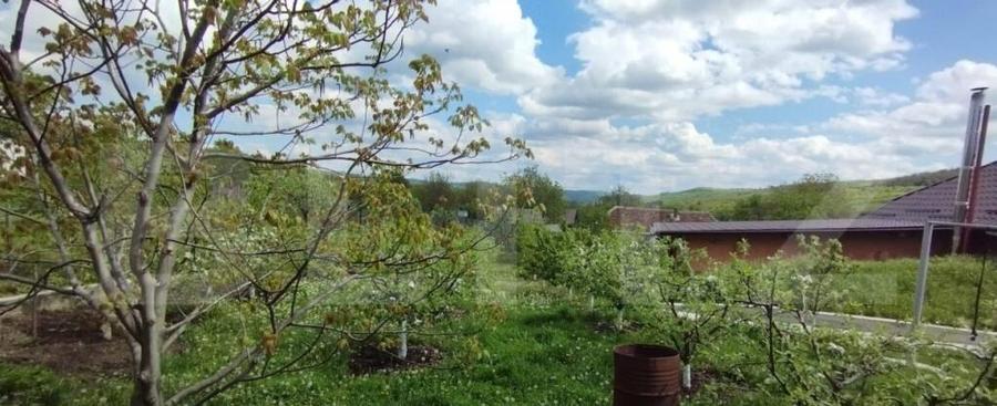 Casa+ casa vacanta, 2200 mp livada, Schitu-Duca - 5