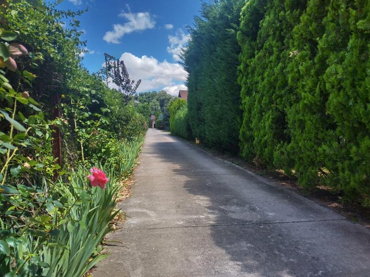 Vila de vanzare in Snagov in vecinatatea padurii - 7