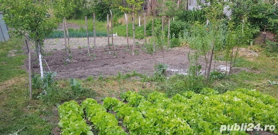 casa in Orevita Mare - 4