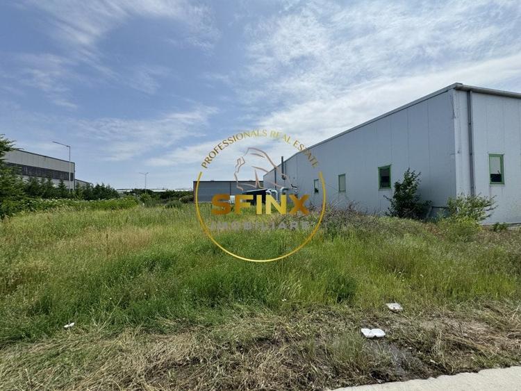 Hala si birouri zona Mogosoaia sos Odai - 17