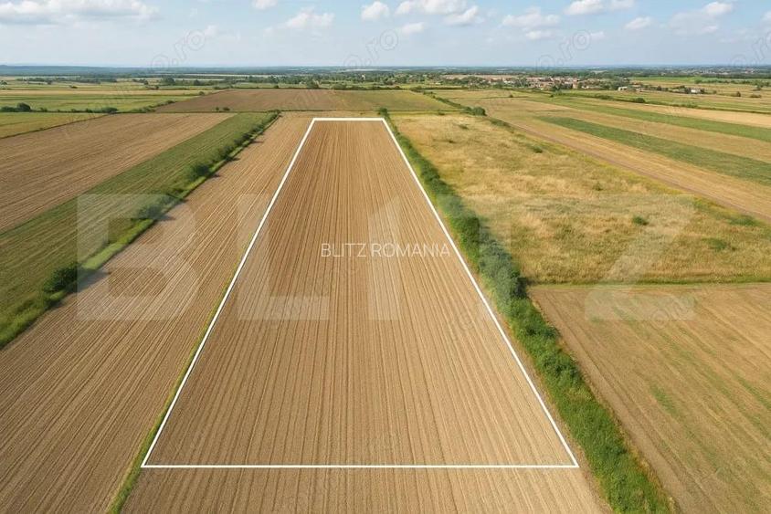 Teren de vanzare 11.600 mp Stupini