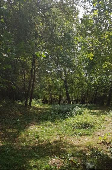 Teren intravilan de vanzare Comarnic, strada Podul Lung -Prahova - 8