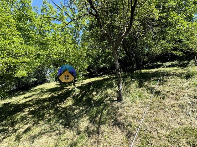 Teren unicat in Piatra Neamt - 12