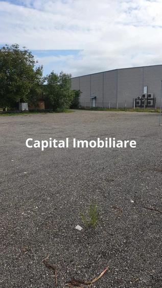 De Vanzare:Teren 1599 mp in Turda, langa Kaufland !! COMISION 0% !!!! - 4