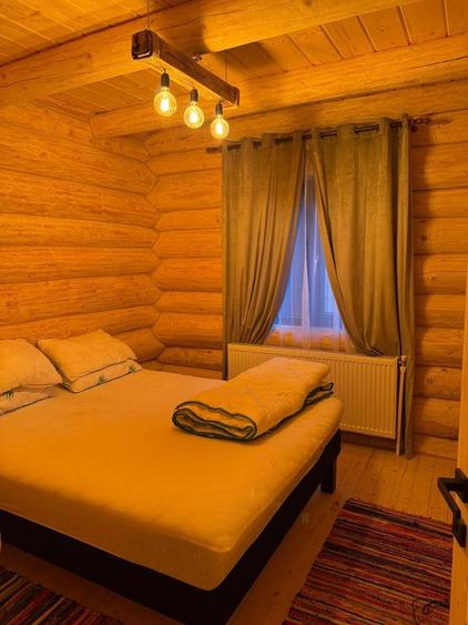 Cabana 75 mp amprenta X 2 teren 250 mp de vanzare Vartop-Arieseni - 2