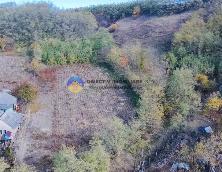 Teren de vanzare 11.766 mp Costi?a, jude?ul Neam? - 11