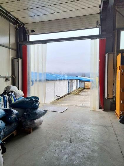 Complex Industrial - Zona Autostrazii A3 - PRELUARE CHIRIASI - 25