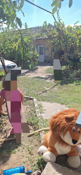 Vand casa in Ciupercenii Noi,judetul Dolj - 6