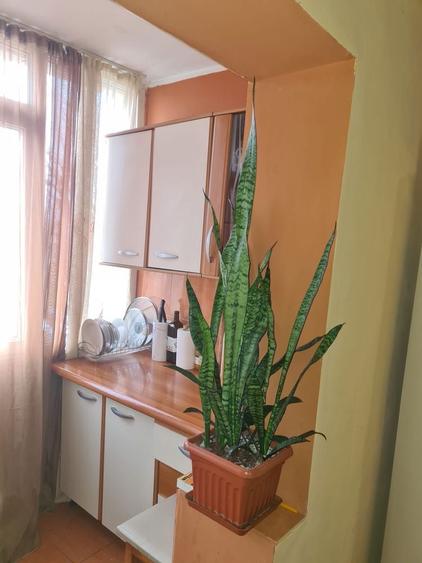 Vand apartament Motru - 7