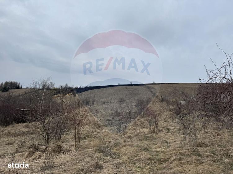 Teren intravilan 2307 mp in Salicea, zona premium, aproape de Cluj - 1