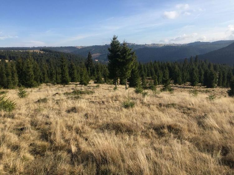 Vand Teren Belis aproape de lac - 2