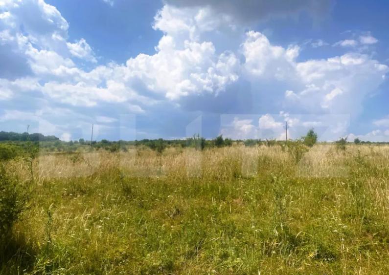 Teren construibil, 1100 mp, cu certificat de urbanism, Salic - 4