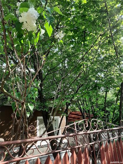 Casa de vanzare plus teren Damaroaia - 2