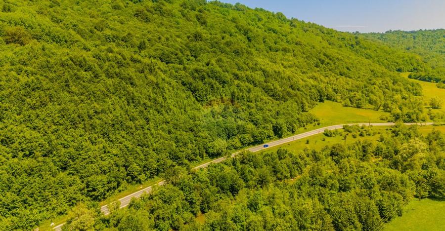 COMISION 0% Teren 3750mp / Sacele / DN1A / Poten?ial tu... - 2