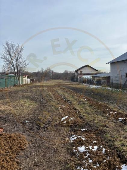 Teren intravilan - Smeura de Sus, toate utilitatiile! - 3