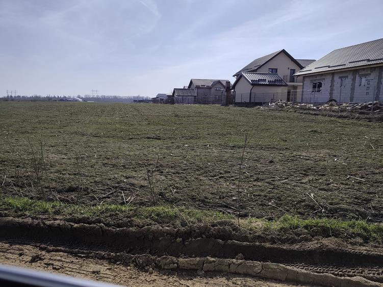 FARA COMISIOANE in Sabareni teren in suprafata de 23200mp gaze curent la teren - 2