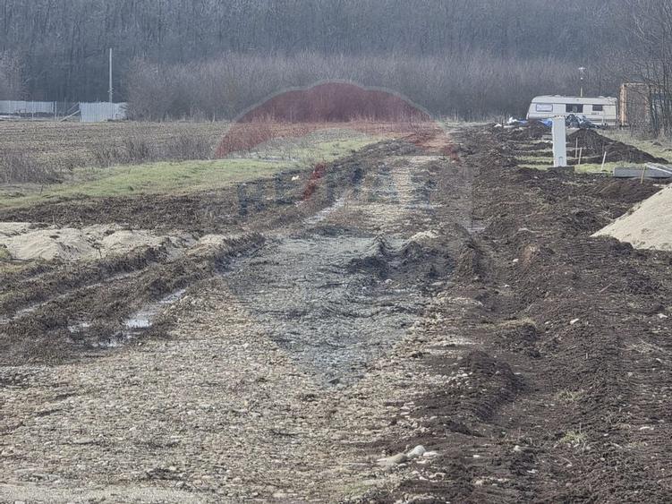 Teren 704 mp Silistea Snagovului vecinatate Padurea Snagov - 1