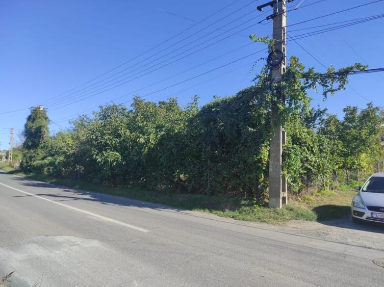 Vanzare Teren Intravilan 2.001 mp. cu utilitati ~ Isaccea ~ Centru - 5