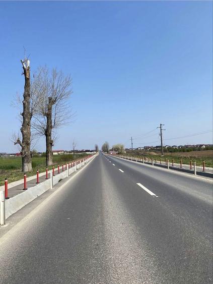 Teren de vanzare Vidra -Berceni Ilfov - 2