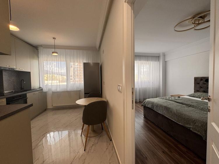 Studio premium, terasa cu vedere spre Parcul Mara, prima inchiriere - 7