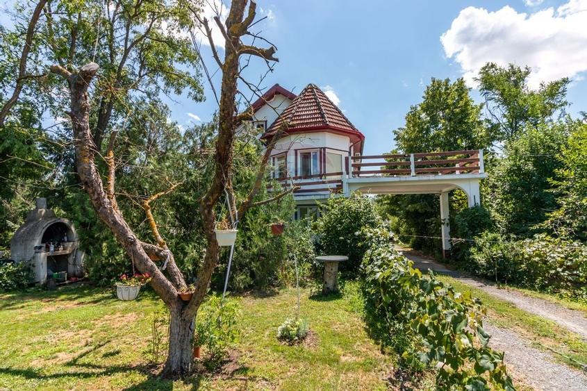 Casa+Laborator+ Teren 12.700 mp + casa de vacanta - Bolintin Vale - 40