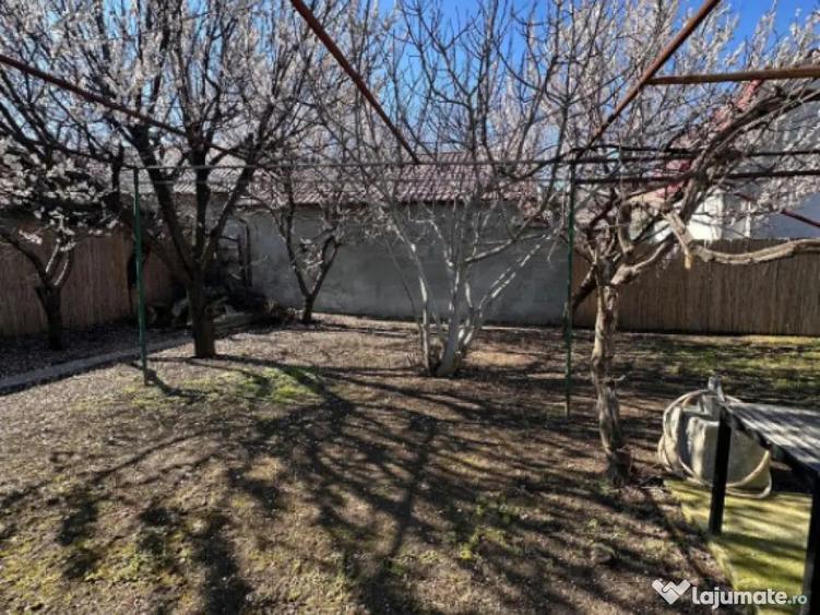 Casa 4 camere Cora Bratianu, Constanta - 10