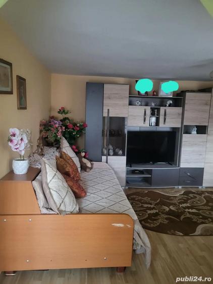 vanzare casa Dealu Mare Dambovita - 2